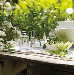 Парфюмерия Jo Malone