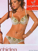 ������ �����