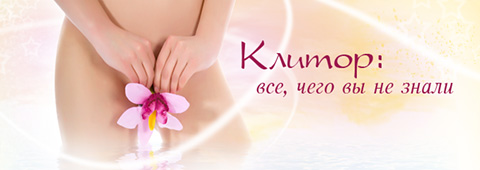 Клитор: все, чего вы не знали